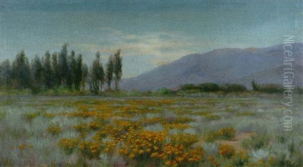 Field Of Poppies Oil Painting by Fannie Eliza Duvall