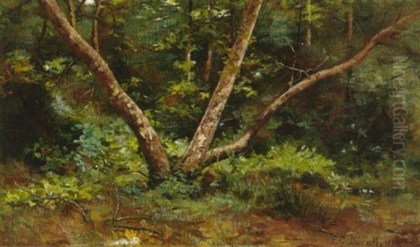 Sycamore Amidst The Forest Oil Painting by Fannie Eliza Duvall