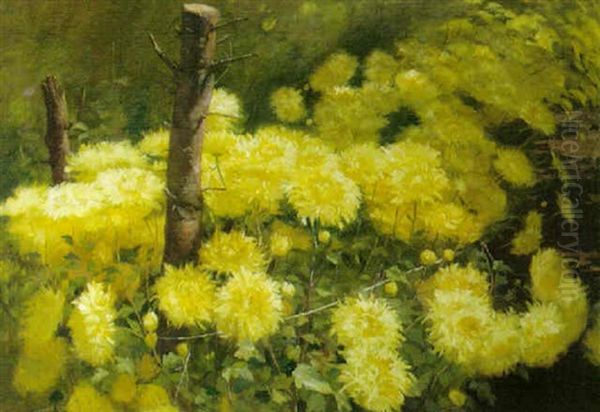 Chrysanthemums by Fannie Eliza Duvall