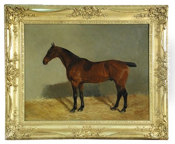 General, A Bay Hunter In A Stable Oil Painting by John Duvall