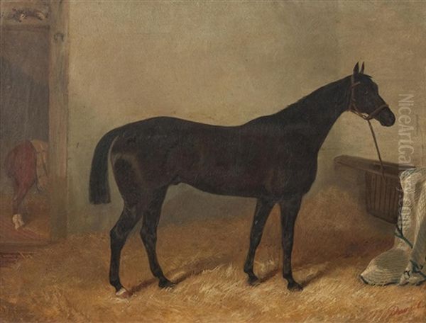 Seal Brown Horse In A Stable Oil Painting by John Duvall