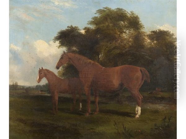 Suffolk Mare And Foal By A River Bank Oil Painting by John Duvall