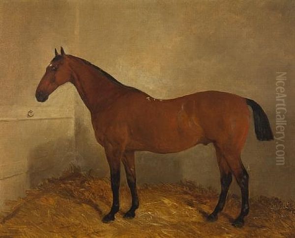 Bay Horse In A Stable Oil Painting by John Duvall