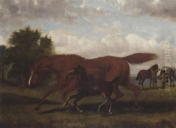 A Brood Mare And Foal In A Paddock Oil Painting by John Duvall