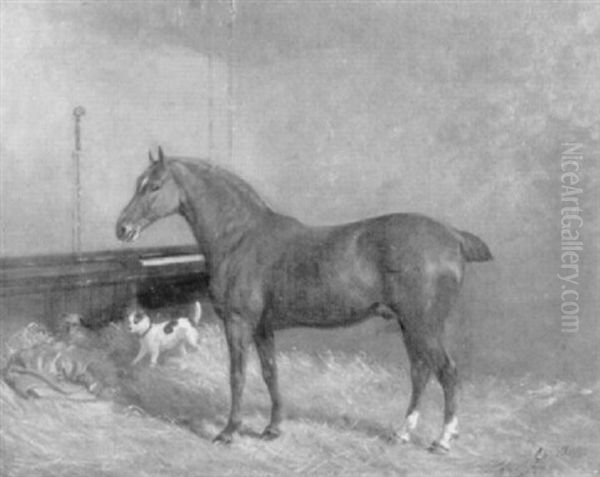 Braunes Rennpferd In Stall Oil Painting by John Duvall