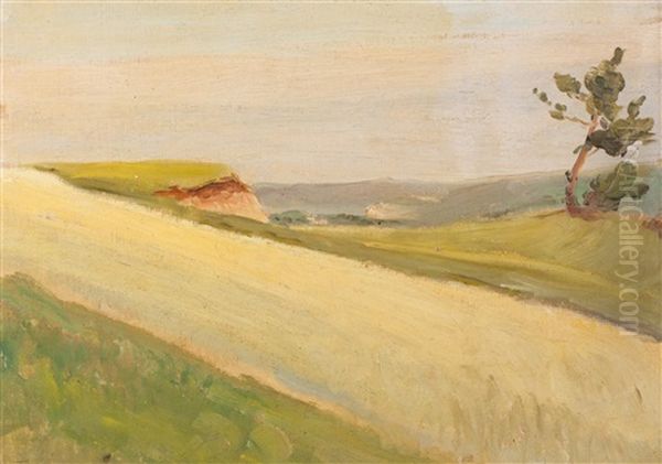 Landscape Study Oil Painting by Frantisek Dvorak