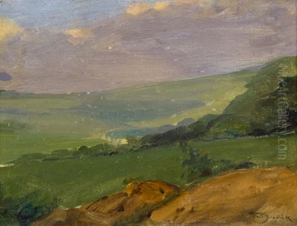 Letni Krajina Oil Painting by Frantisek Dvorak