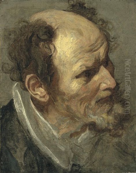 Head Of A Bearded Man Oil Painting by Anthony Van Dyck