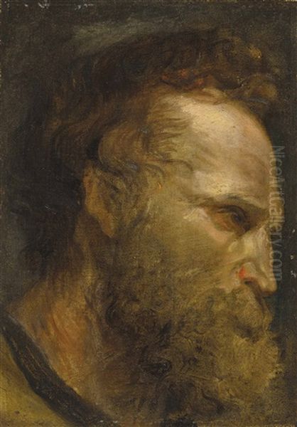 Head Study Of A Bearded Man Oil Painting by Anthony Van Dyck