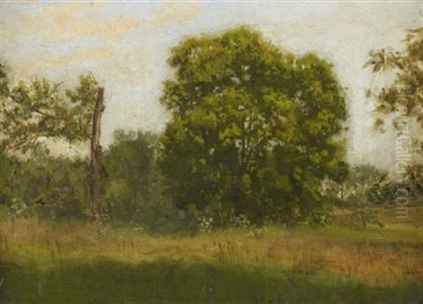 In The Country, Summer Oil Painting by Thomas Eakins