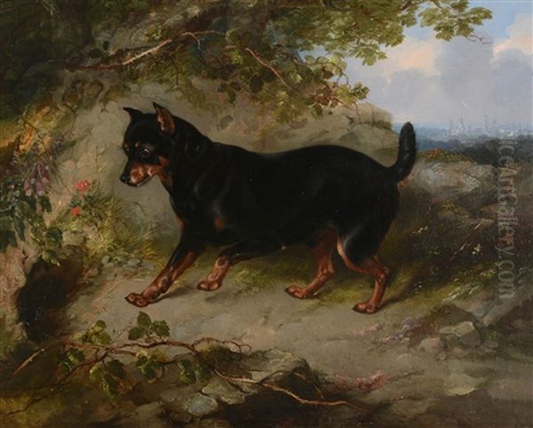 Manchester Terrier Oil Painting by George Earl