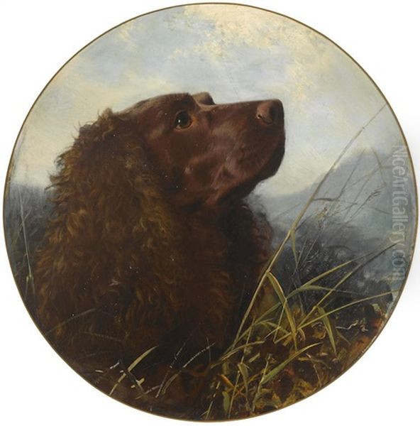 A Sussex Spaniel Oil Painting by George Earl