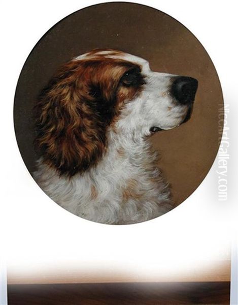 Study Of A Leonberger (+ Study Of A Spaniel; Pair) Oil Painting by George Earl