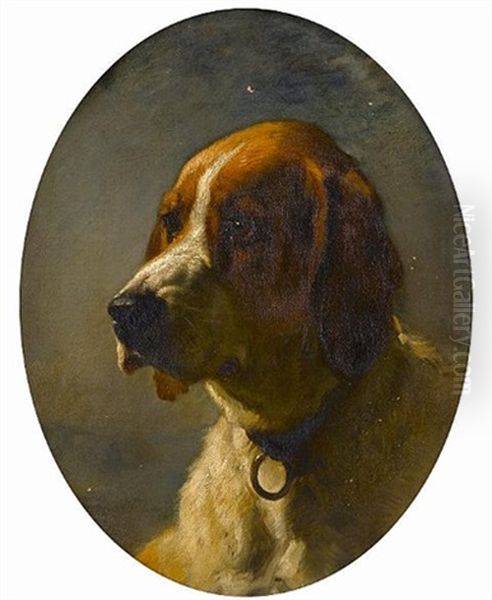 Study Of The Head Of A Hound Oil Painting by George Earl