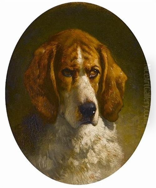 Study Of A Hound Oil Painting by George Earl