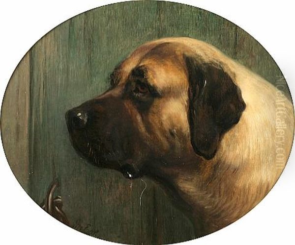 Portrait Of A Mastif Oil Painting by George Earl