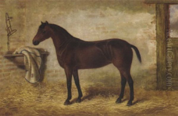 A Bay Horse In A Stable Oil Painting by George Earl