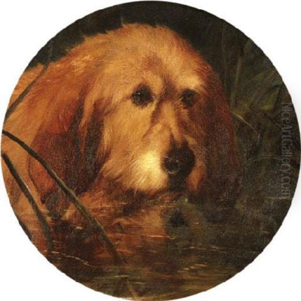 An Otter Hound In Reeds Oil Painting by George Earl