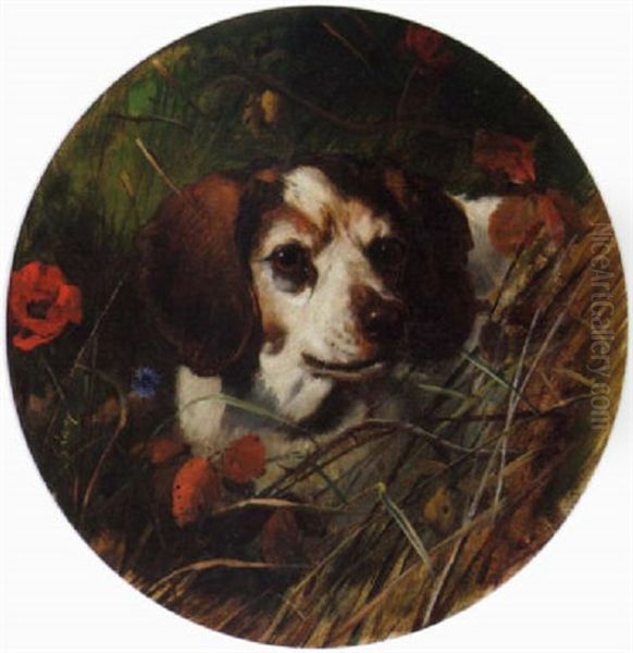 A Beagle In A Thicket Oil Painting by George Earl