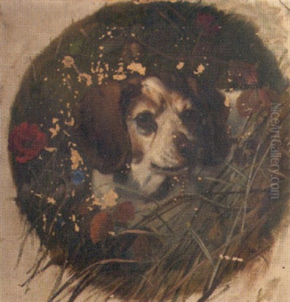 Head Study Of A Dog Oil Painting by George Earl