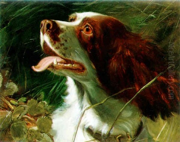 Springer Spaniel Oil Painting by George Earl