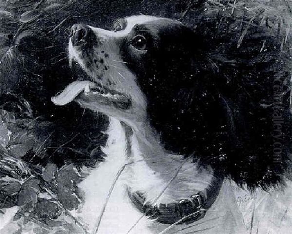 Study Of A Head Of A Spaniel Oil Painting by George Earl