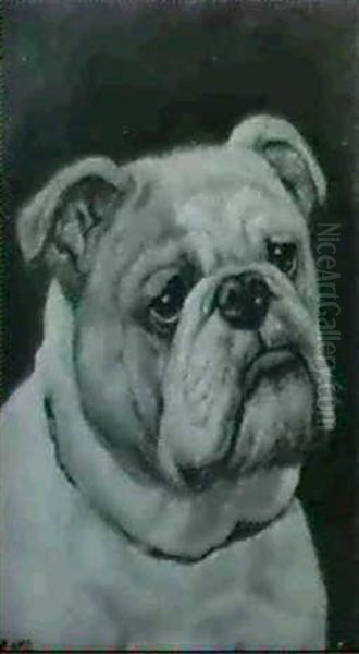 Portraits Of Bulldogs: A Pair Paintings Oil Painting by George Earl