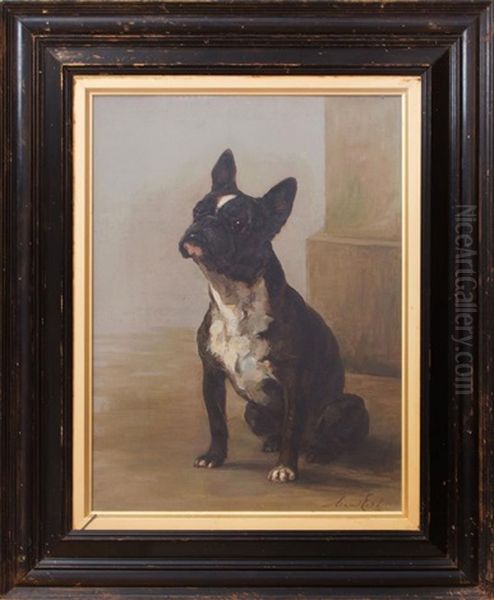 Portrait Of A Boston Terrier Oil Painting by Maud Earl