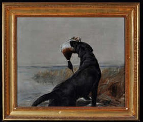 Labrador Picking Up A Runner Oil Painting by Maud Earl