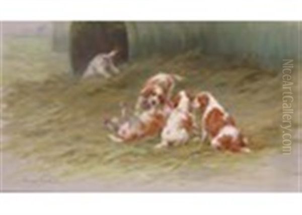 Spaniel Puppies At Play Oil Painting by Maud Earl