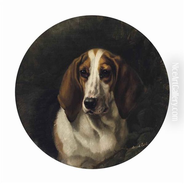 A Favourite Hound Oil Painting by Maud Earl