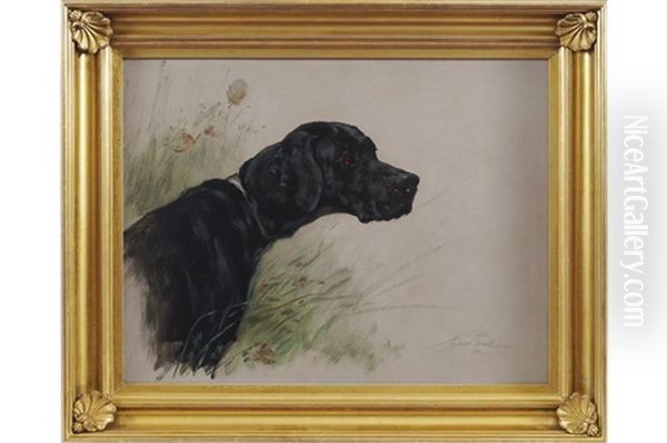 A Black Setter Oil Painting by Maud Earl