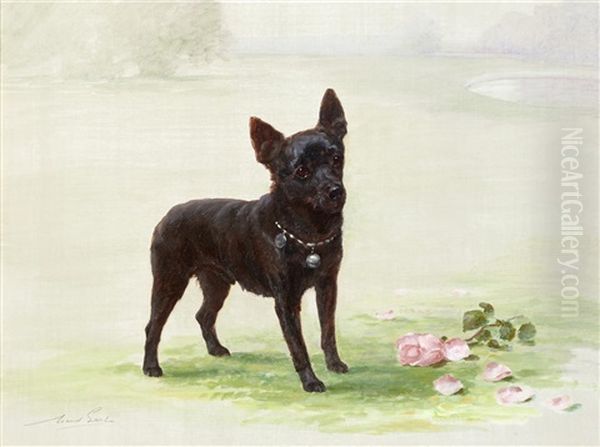 Standing Schipperke Oil Painting by Maud Earl