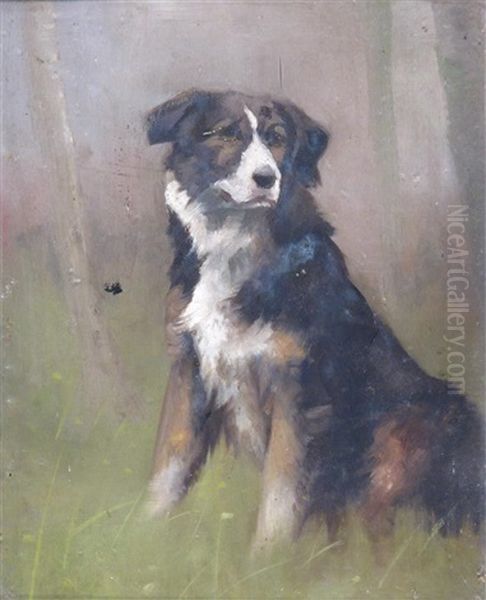 Study Of A Sheepdog Oil Painting by Maud Earl