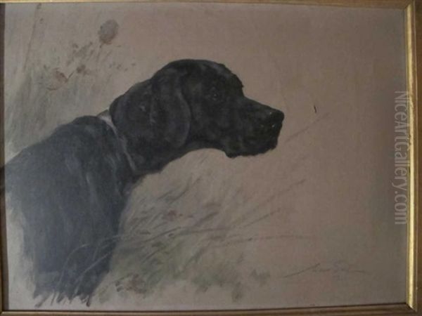 Tete De Retriever by Maud Earl