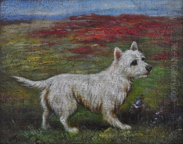 Highland Terrier Oil Painting by Maud Earl