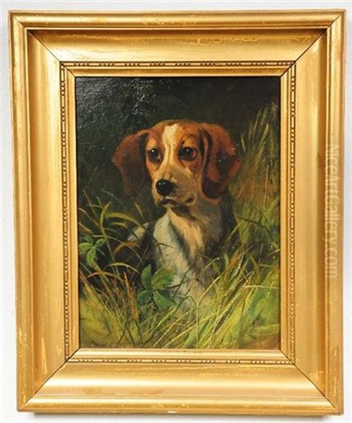 Portrait Of A Beagle Oil Painting by Maud Earl