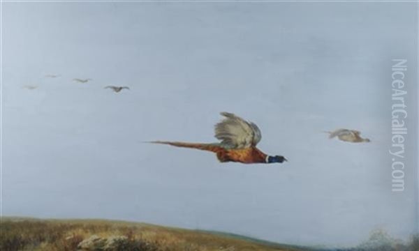 Pheasants In Flight Oil Painting by Maud Earl