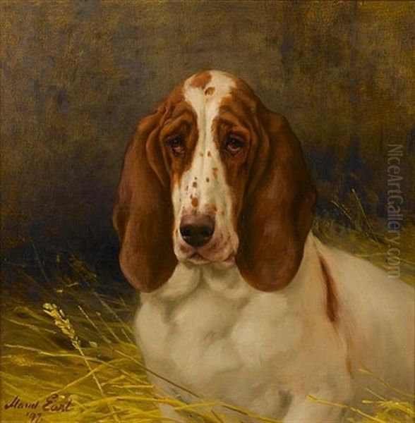 A Basset Hound Oil Painting by Maud Earl