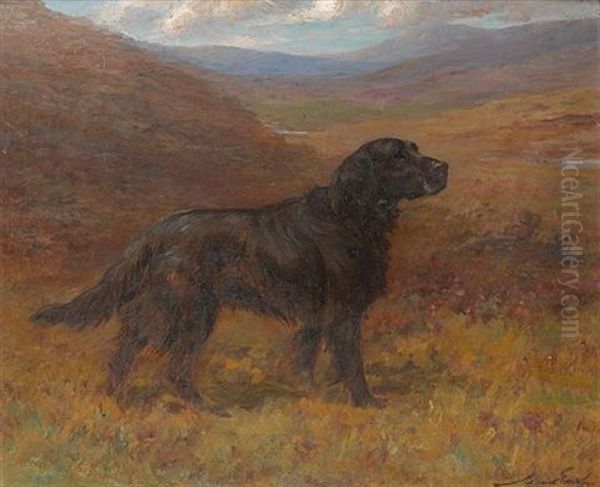 A Flat Coat Retriever In A Moorland Landscape Oil Painting by Maud Earl