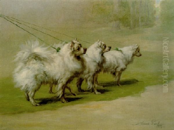 Pomeranians In The Park Oil Painting by Maud Earl