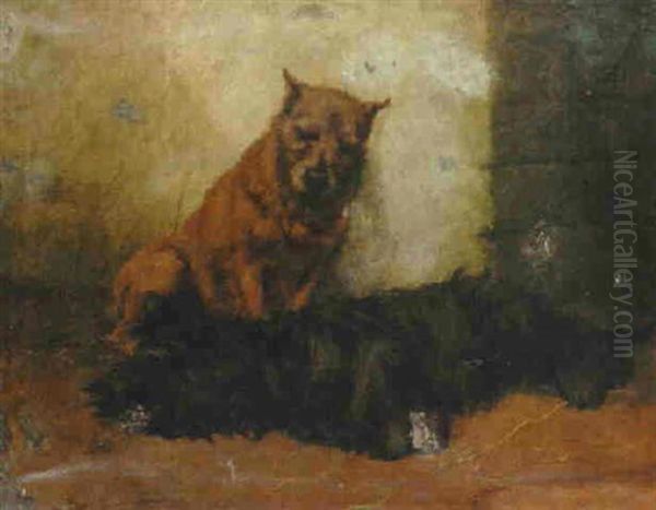 Terriers In A Barn by Maud Earl