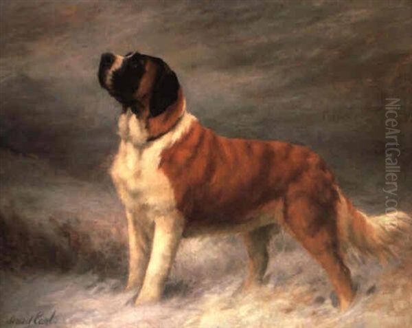 I Hear A Voice-portrait Of The Champion St. Bernard 'frandley Stephanie' Oil Painting by Maud Earl