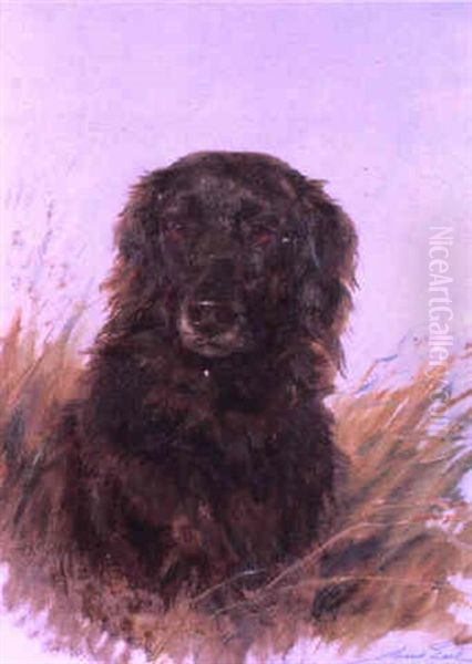 Portrait Of Ben, Flat Coat Retriever Oil Painting by Maud Earl