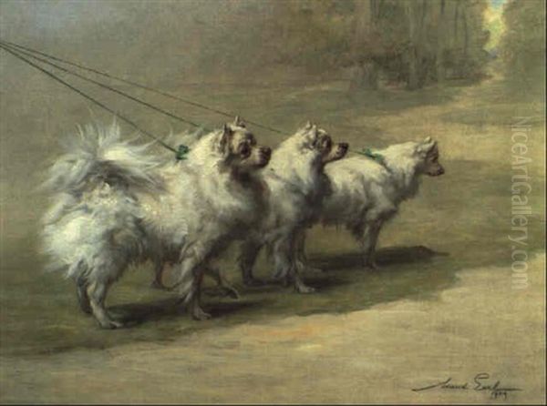 Pomeranians In A Park Oil Painting by Maud Earl