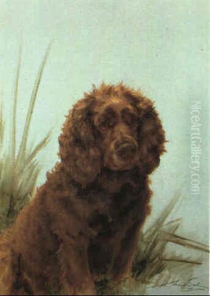 Scarab, A Sussex Spaniel Oil Painting by Maud Earl