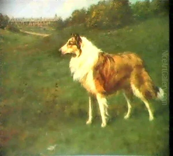 A Collie In A Landscape Oil Painting by Maud Earl