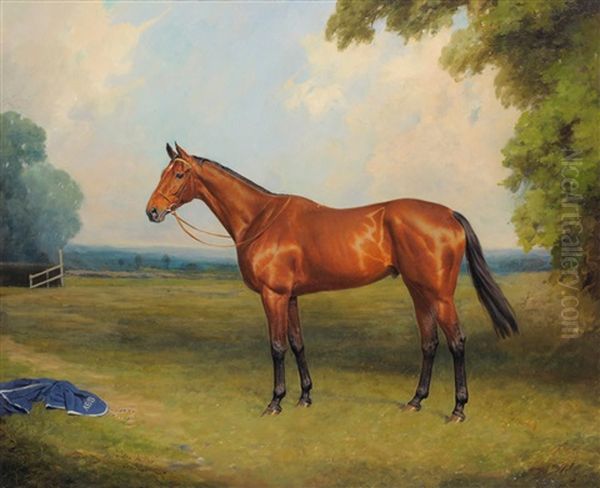 The Racehorse 