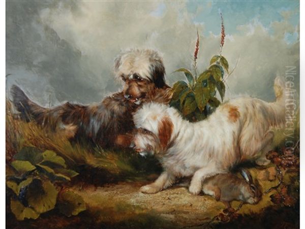 Two Skye Terriers With A Hare, In Undergrowth Oil Painting by Thomas William Earl