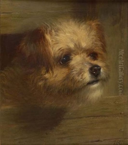 Study Of A Terrier Oil Painting by Thomas William Earl